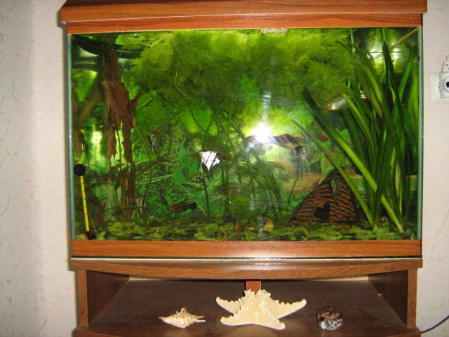 Сергей Гончаров Владимирович | Воронеж