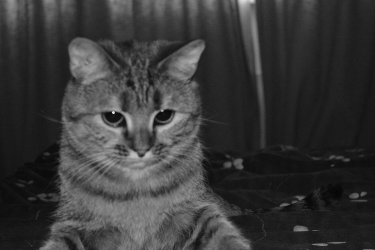 Таня Кисса тётя | Москва