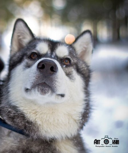 Елена Кунст | Санкт-Петербург