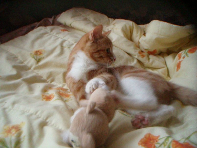 Елена Леонова | Москва