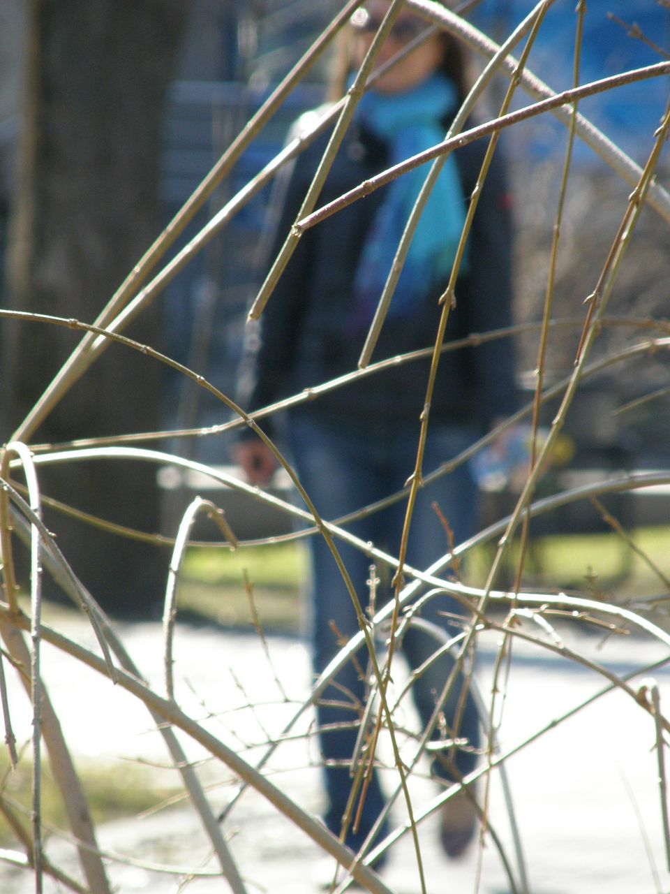 Вера Чопенко | Киев