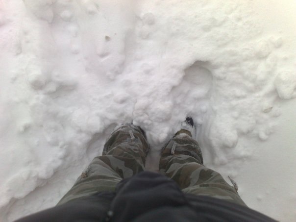 Аврора Нестерова | 