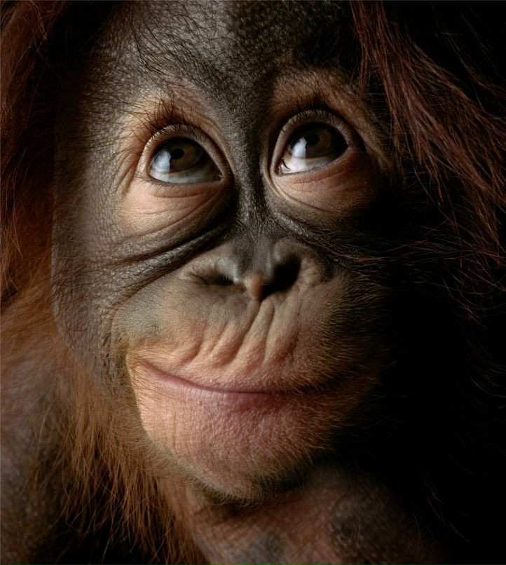 Владимир Жирков | Москва