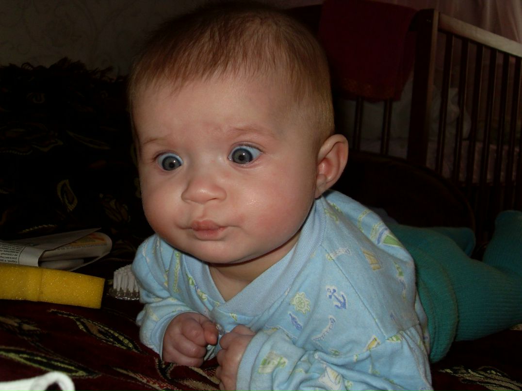 Лилия Коваль | Хмельницкий