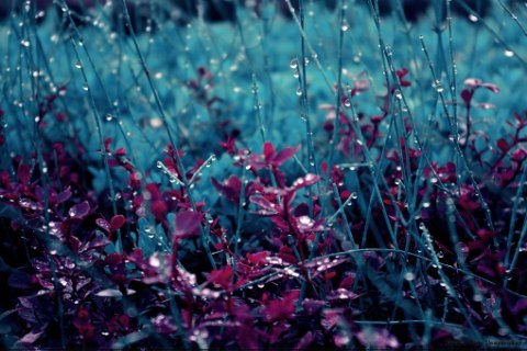 Карина Майя | 