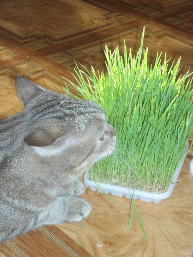 Ксения Марфина | Самара