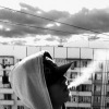 Аватар: Артурик Соболевский