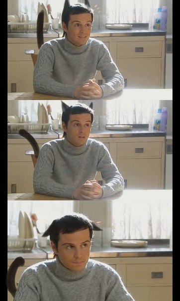 Анна Соловьева | Тольятти