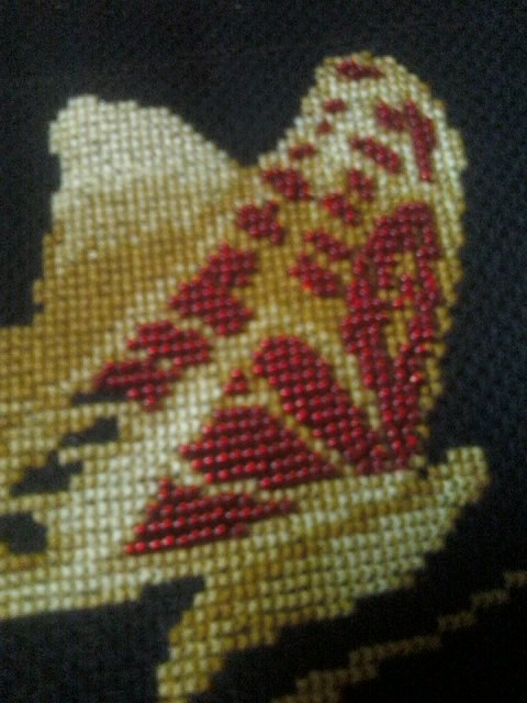 Яна Голубкова | Запорожье