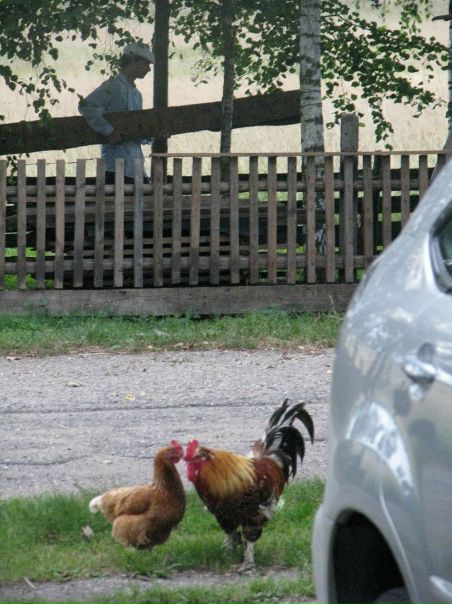 №134, Егор Лесников, 20.1.1991 №134, Егор Лесников, 20.1.1991