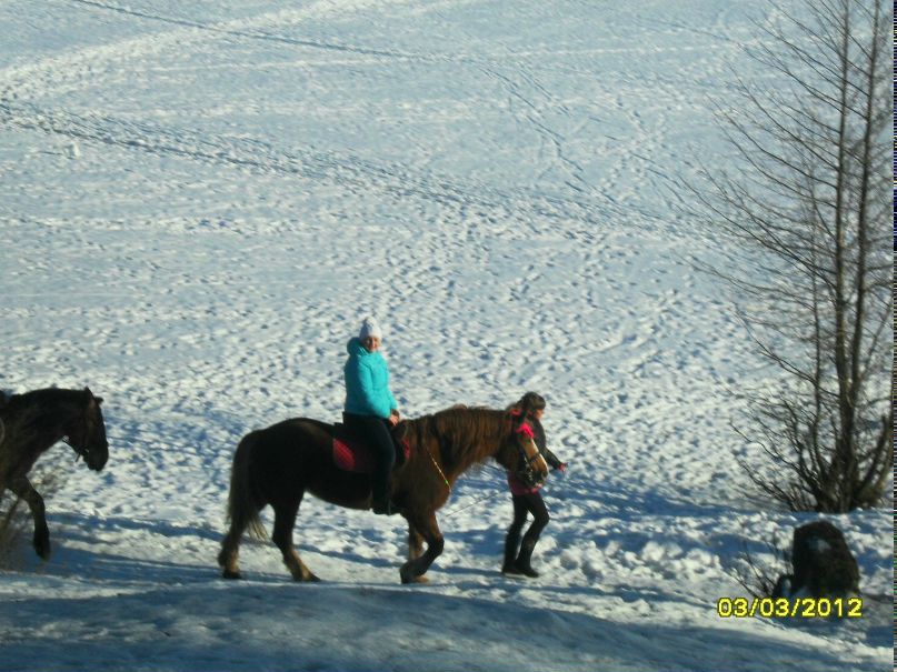 Александр Панкратьев | Ям-Тесово