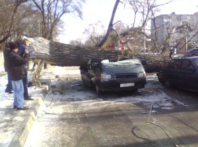 Irina Butuzova | Charleston