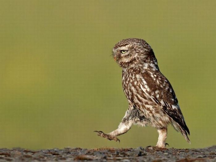 Владимир Душин | Херсон