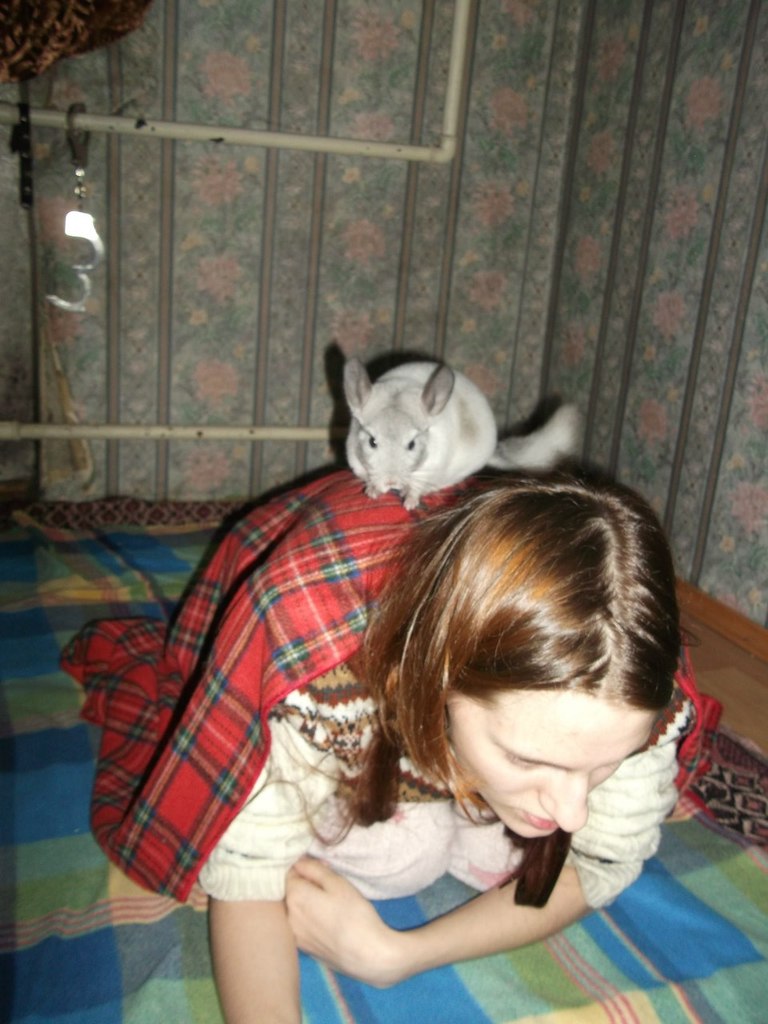 Алёна Урсулика | Санкт-Петербург