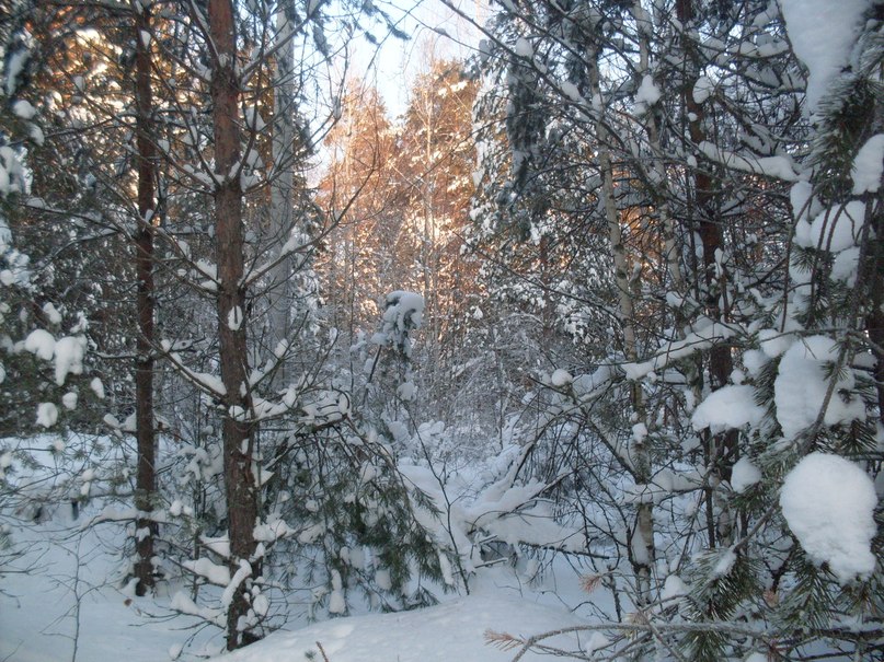 Ольга Милкина | Александров
