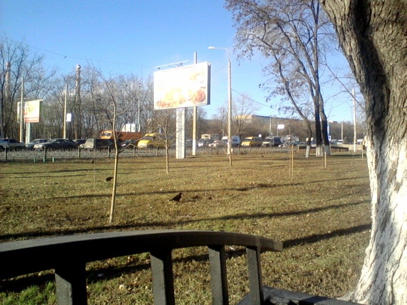 Наталья Земцовская | Белгород