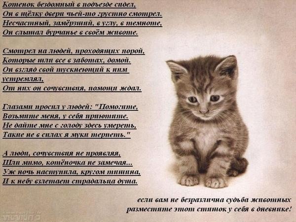 №2, Лена Васильева, 57 лет №2, Лена Васильева, 57 лет