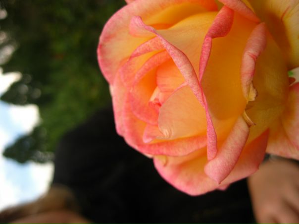 №191, Алина Келка, 31 год №191, Алина Келка, 31 год