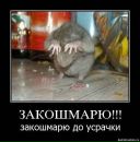 Фотография Сергей Зубарев