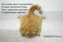 Александр Казаков, Нижний Новгород, Россия, 