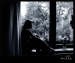 Катеринка Кириллова фотография #14 (источник - https://vk.com/id85069877)