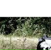 №25 Серега Еврахов 21.08.1990: профиль, фото, статус - ВКонтакте