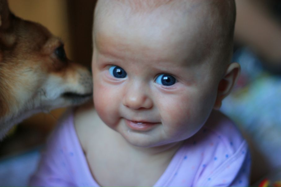 №110, Виктор Иванов, Санкт-Петербург №110, Виктор Иванов, Санкт-Петербург