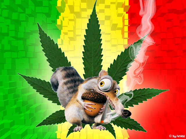 Роман Доровских | Барнаул