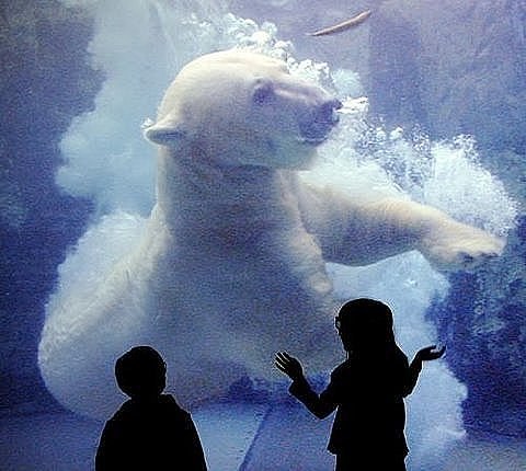 Христина Копач | Львов