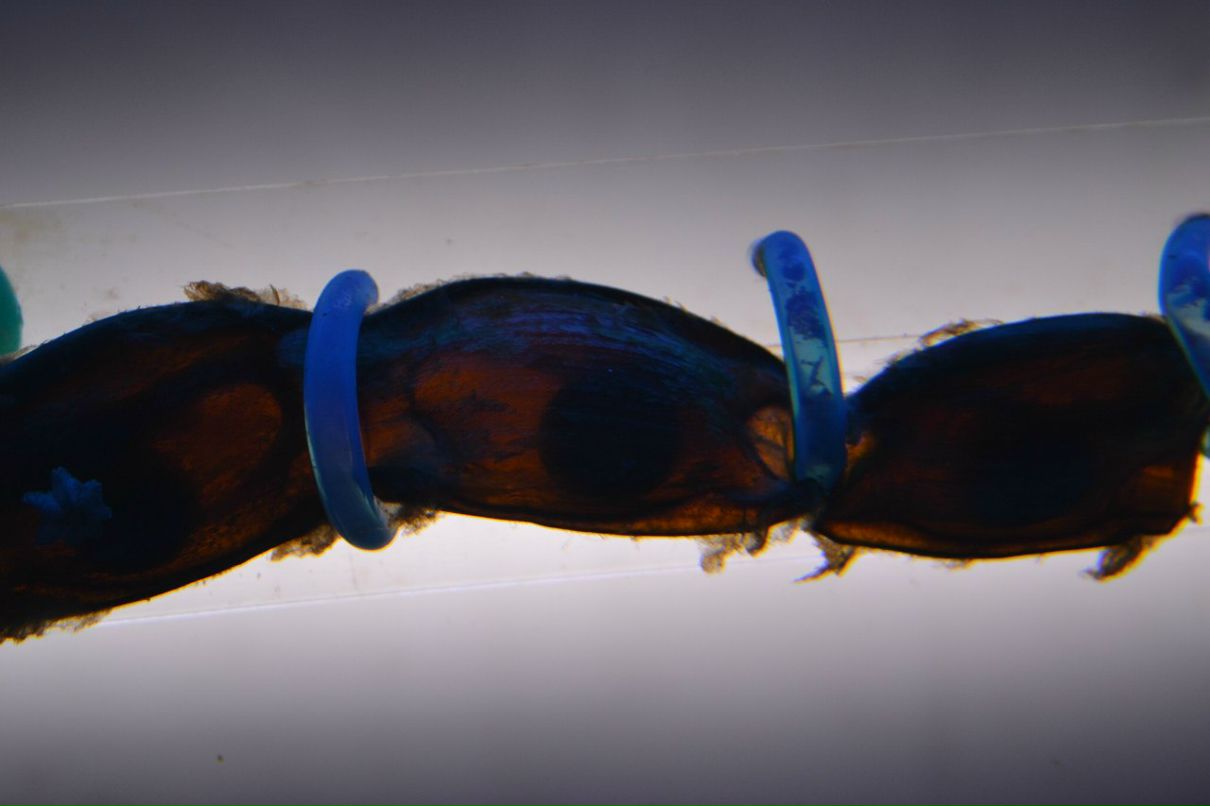 Ленка Щербакова NIKTCHEMY | Санкт-Петербург