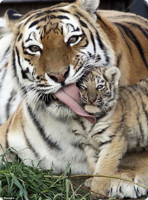 Алёна Каминская | Десногорск