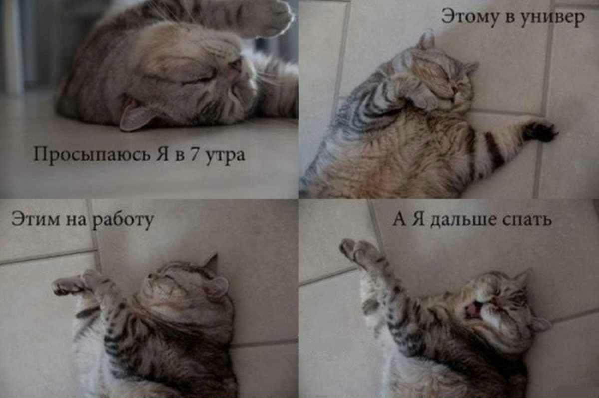 Ирина Комаревич | Санкт-Петербург