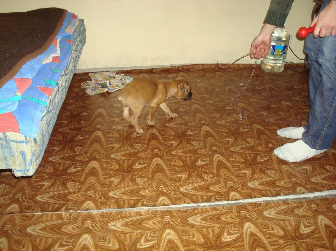 Антон Маняченко ToshA | Киев