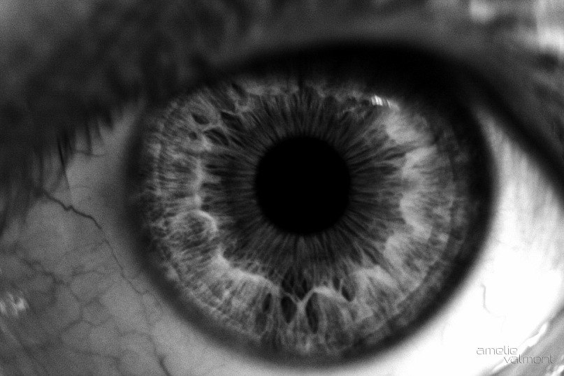 Игорь Семенов или не Игорь | Санкт-Петербург