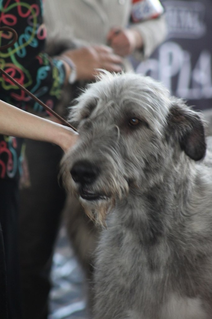 Егор Смолдырев | Иннополис