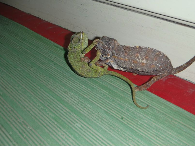 Михаил Рябенков | Калининград