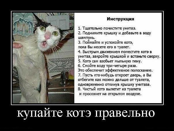 №34, Татьяна Воронцова, 46 лет, Одесса №34, Татьяна Воронцова, 46 лет, Одесса