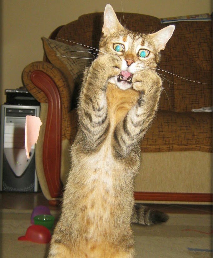 Дениска Бондарев RecOn | Железногорск