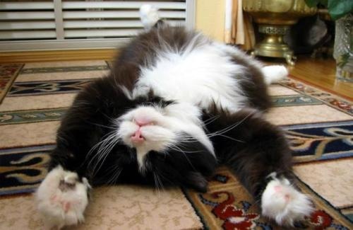 №129, Александр Бучнев, Воронеж №129, Александр Бучнев, Воронеж