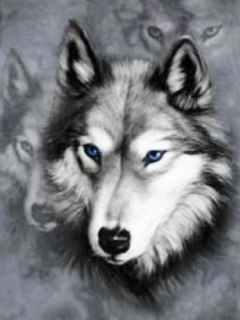 Андрей Козлов | 