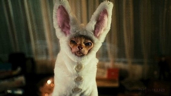 Тоня Тагильцева | Ставрополь