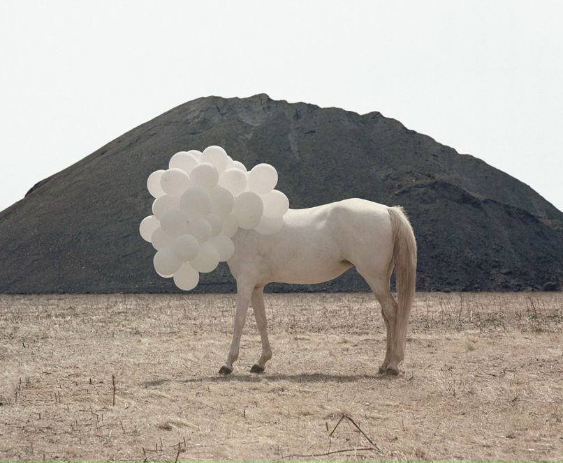 Dinara Shukenova | Алматы