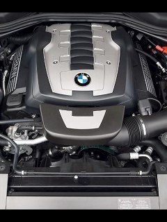 Тина Сулименко <<<ТЮРЯГА>>> | Сумы