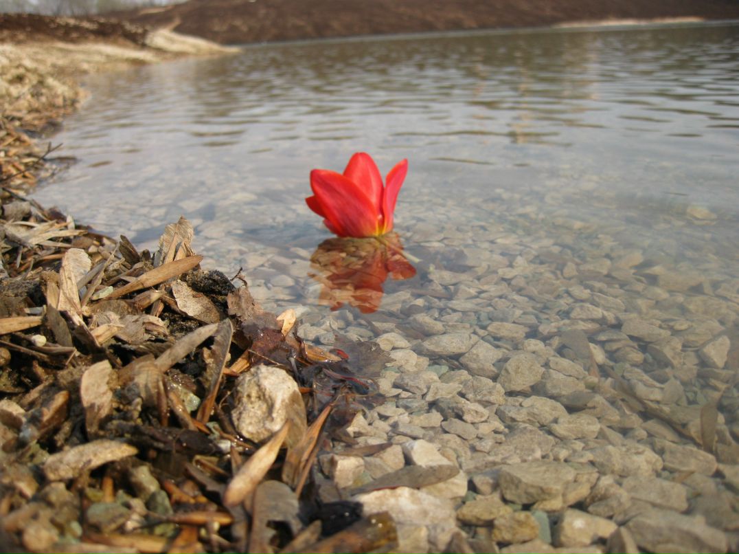 Мария Редикульцева | Москва