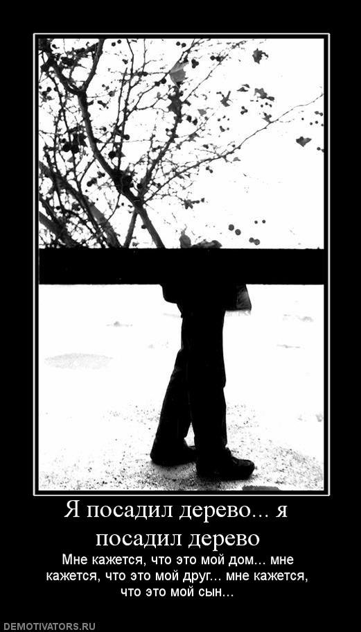 Анна Тимченко | Боярка