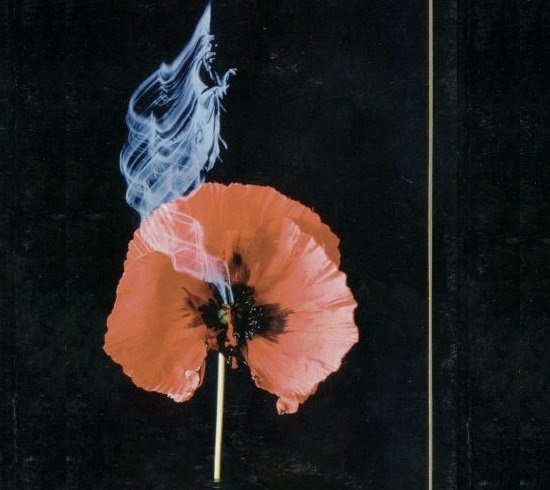 Светик Финогенова | Санкт-Петербург