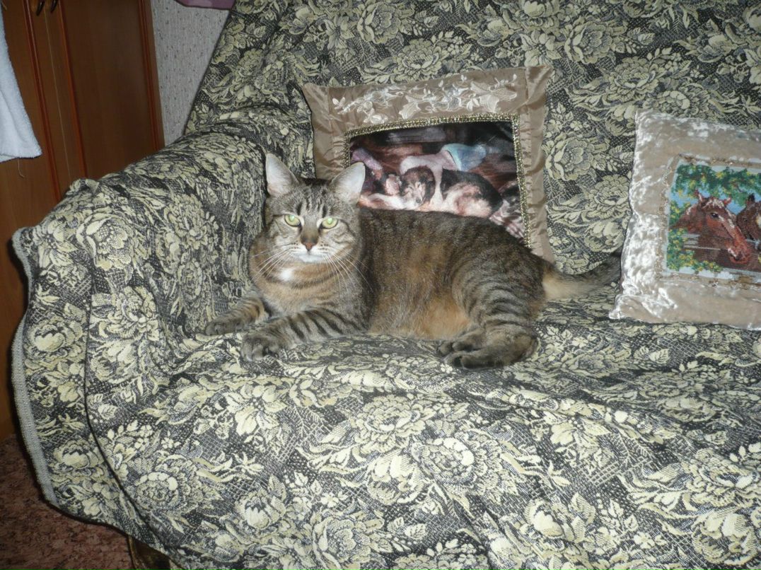 Лилия Кирик | Санкт-Петербург