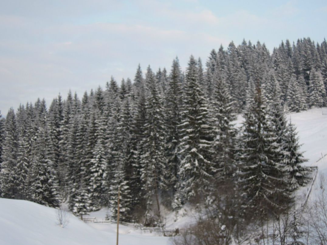 Александр Есипов | Киев