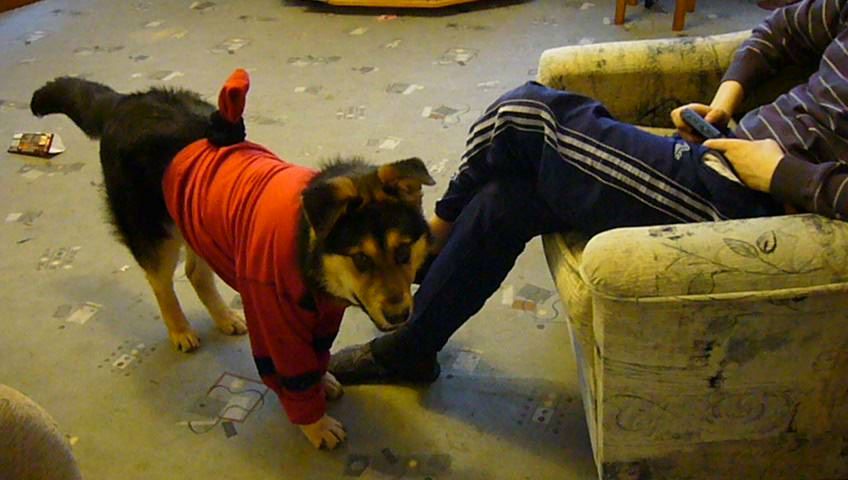 Марина Шишкалова | Ростов-на-Дону