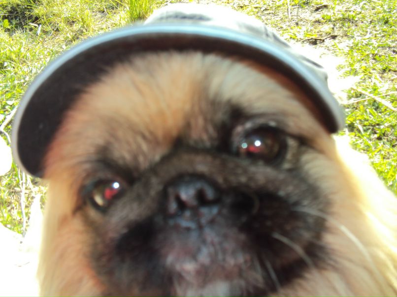 Алексей Еськин | Северодвинск